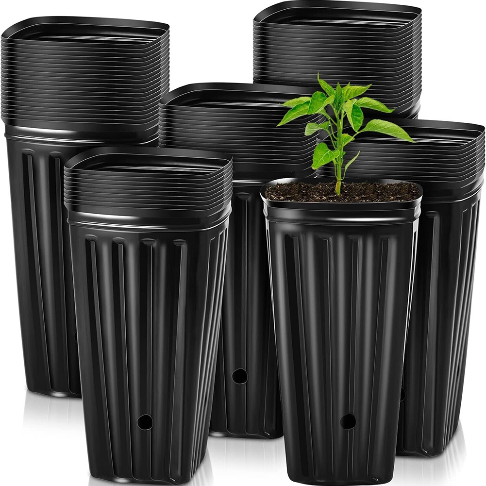 Aloe Vera Pot - 10/25 sztuk pędy drzew doniczki plastikowe