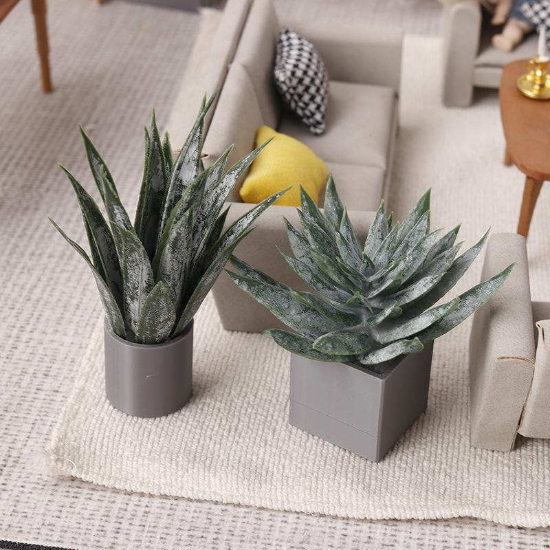 Aloe Vera Pot - Miniaturowa roślina Aloe Vera w doniczce,