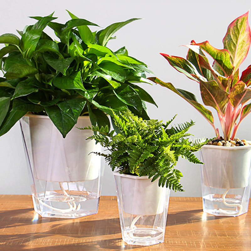 Aloe Vera Pot - Doniczka na kwiaty samonawadniająca się doniczka