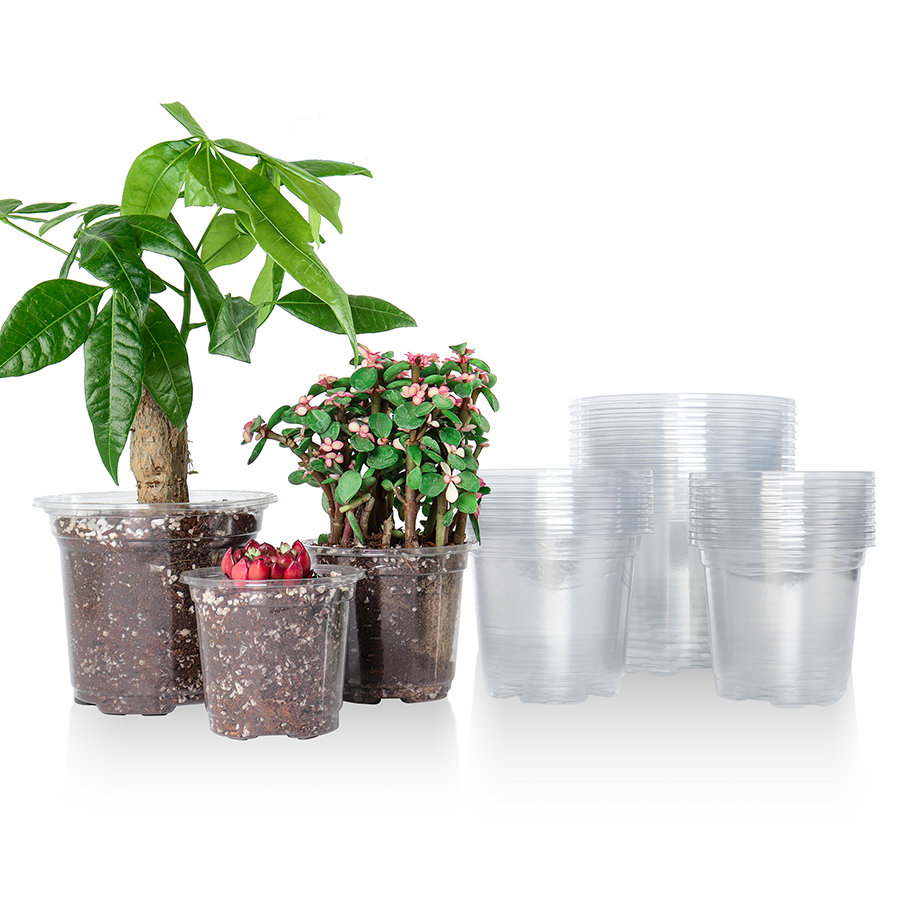 Aloe Vera Pot - 30 opakowań 3,5/4/5-calowych przezroczystych doniczek do