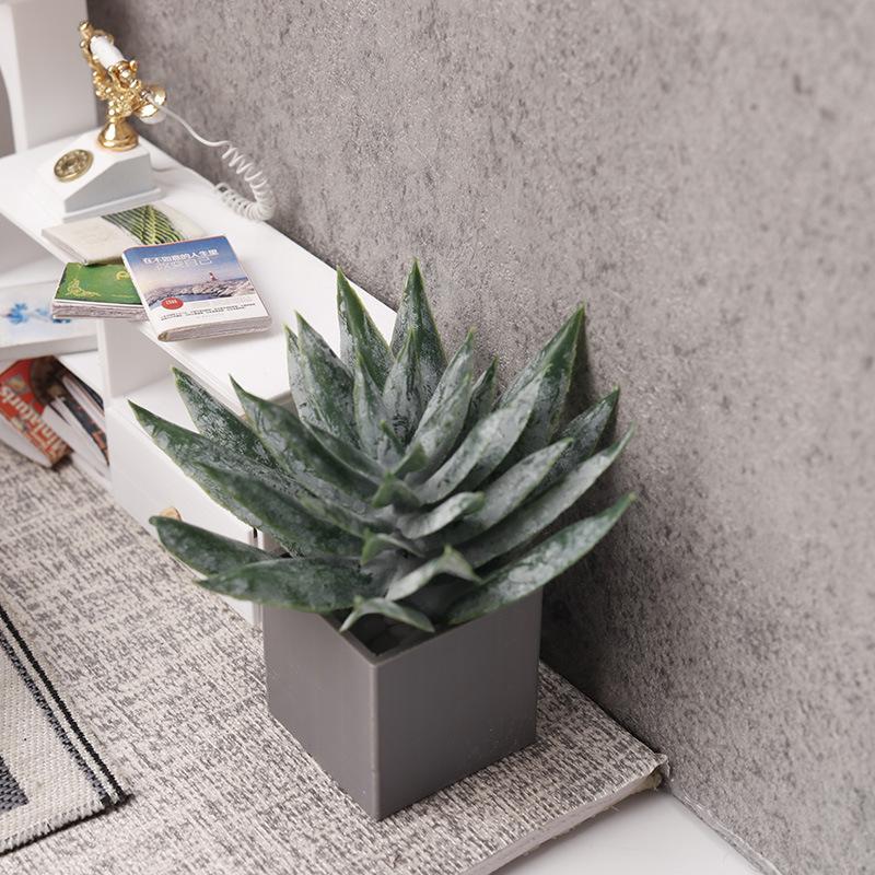 Miniaturowa roślina Aloe Vera  – Aloe Vera Pot recenzja i cena