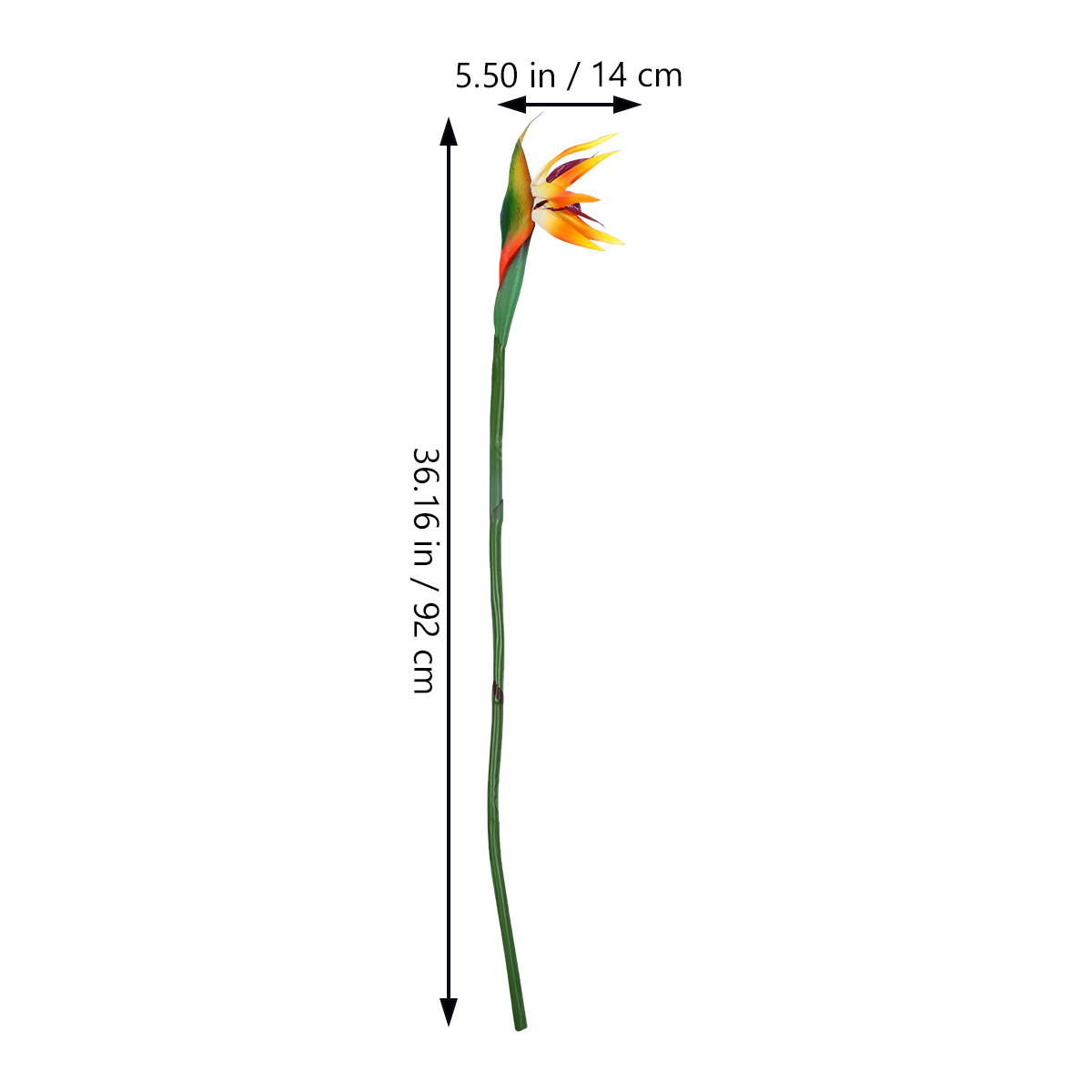 Sztuczna roślina ptaka raja, i – Bird Paradise Strelitzia recenzja i cena