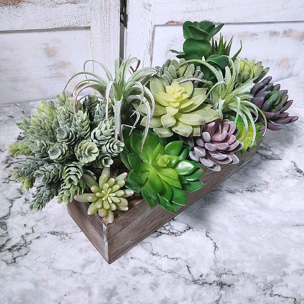 15 sztuk Sztucznych Sukulentów – Echeveria Succulent recenzja i cena