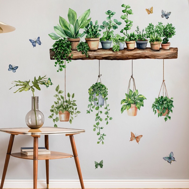 Naklejki ścienne 3D z zielonym – Echeveria Succulent recenzja i cena