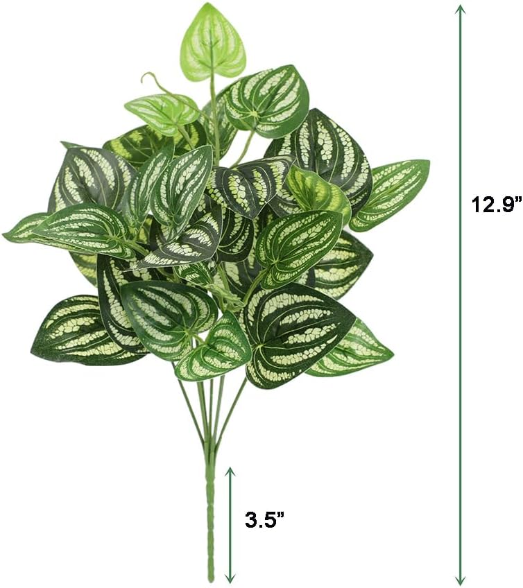 5 sztuk arbuz Peperomia sztucz – Peperomia Watermelon recenzja i cena