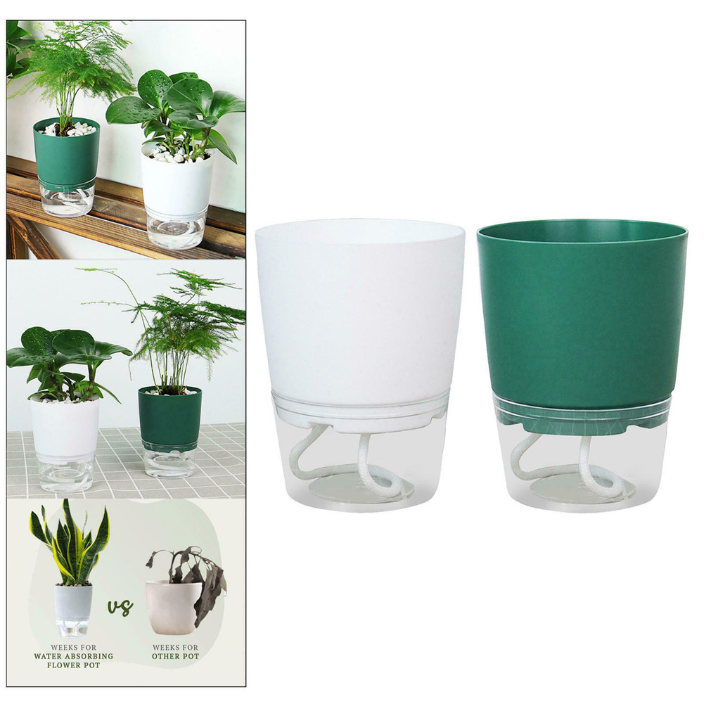 Leniwa hydroponiczna doniczka  – Aloe Vera Pot recenzja i cena