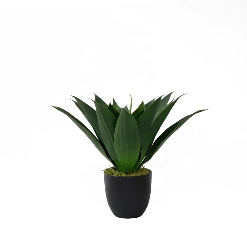 Sztuczna roślina aloe vera w d – Aloe Vera Pot recenzja i cena